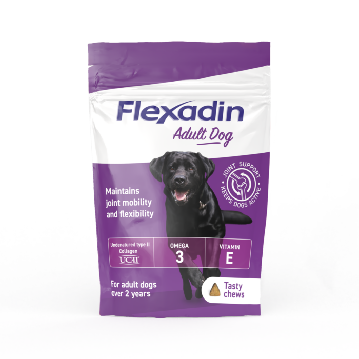 Flexadin UC-II For Dogs