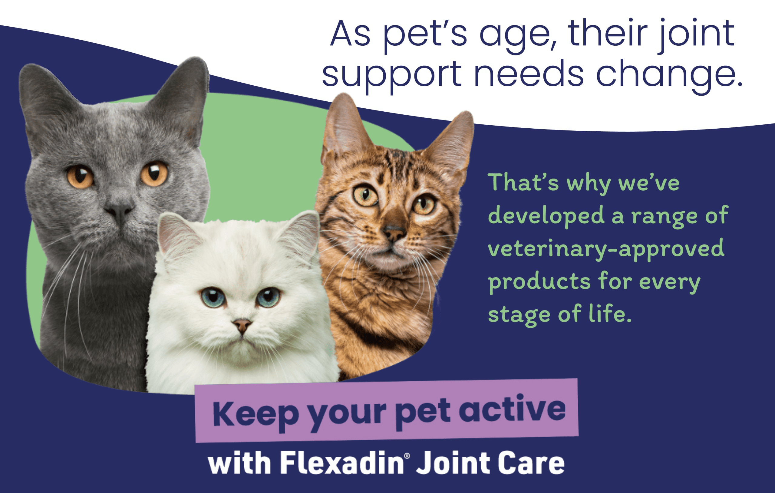 Flexadin-Homepage-Banner-Cat-Mobile-2026