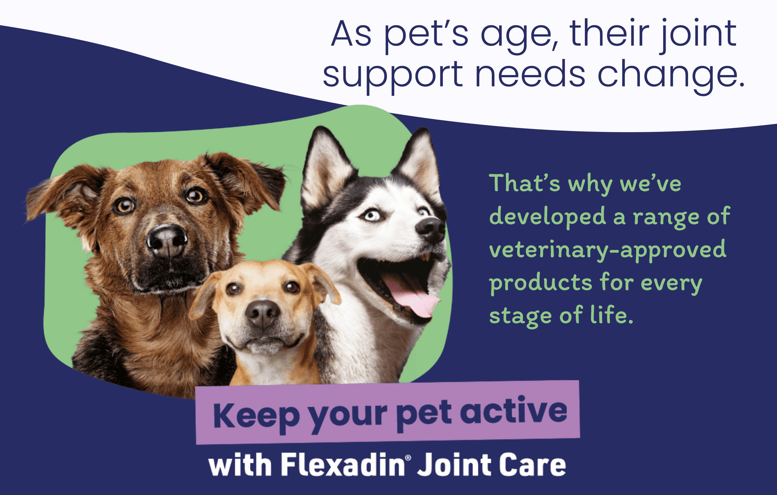 Flexadin-Homepage-Banner-Dog-Mobile-2026