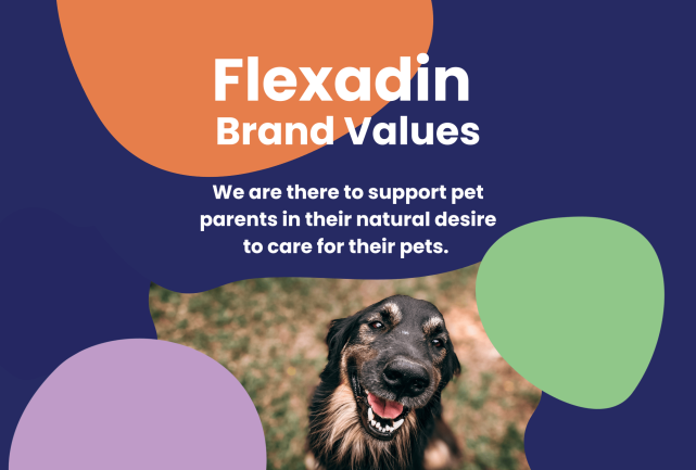 Flexadin-About-Us-Brand-Value Flexadin-About-Us-Brand-Value