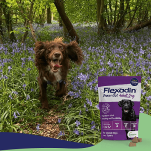 Flexadin-Essential-Review-Dan